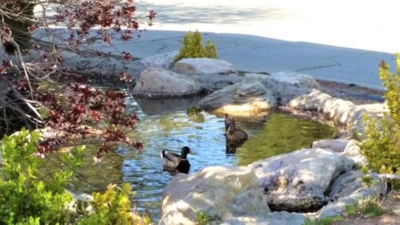 North Bay At Lake Arrowhead Blue Jay Exteriér fotografie