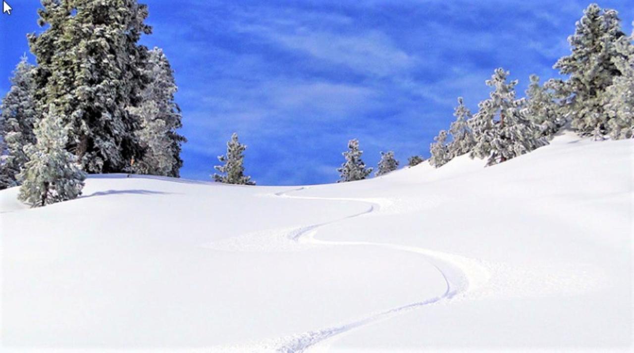 North Bay At Lake Arrowhead Blue Jay Exteriér fotografie